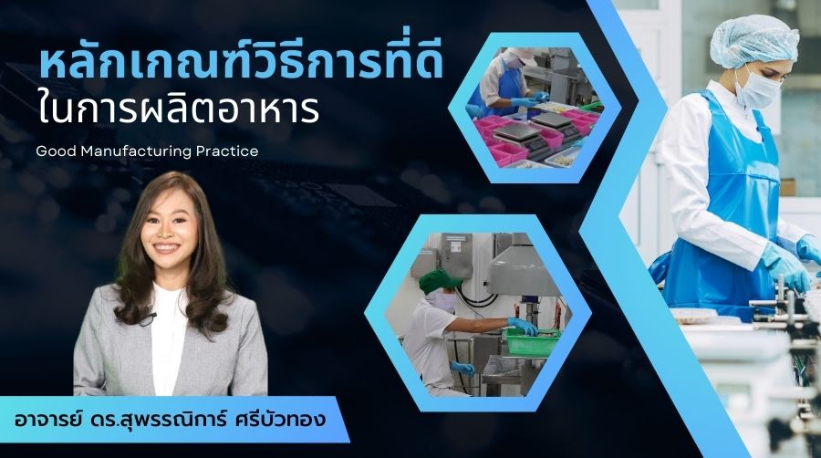 หลักเกณฑ์วิธีการที่ดีในการผลิตอาหาร | Good Manufacturing Practice 00615